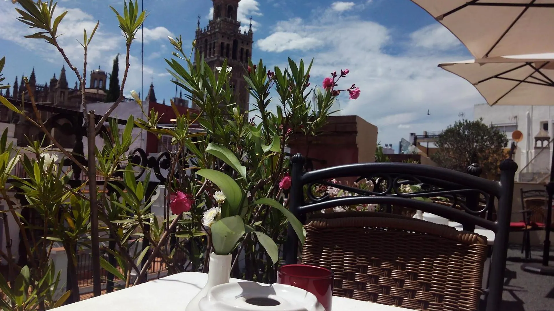 Hotel Palacio Alcazar Seville